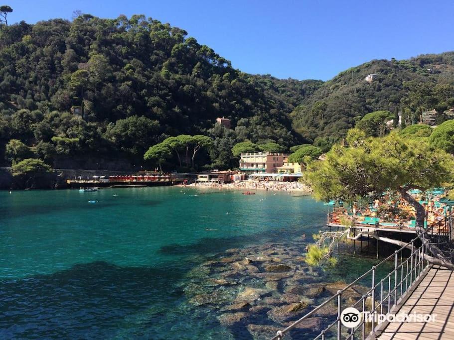 Portofino - Appartamento Vista Mare - Rooftop Terrazzo - In Centro Citta - Free Wifi ラッパロ エクステリア 写真